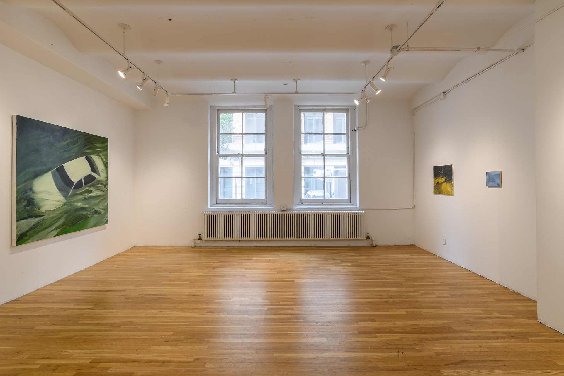 [Colorful paintings hung on opposite walls. Between them, two large windows. On the left is a large painting of a car, half-submerged in swampy turbulent water the color of seaweed, ivory and soot. On the right are two smaller paintings. One shows the corner of a dance floor bathed in yellow light and shadows, the other shows a cool moody bathroom sink with a hand submerged in its still, quiet water.]