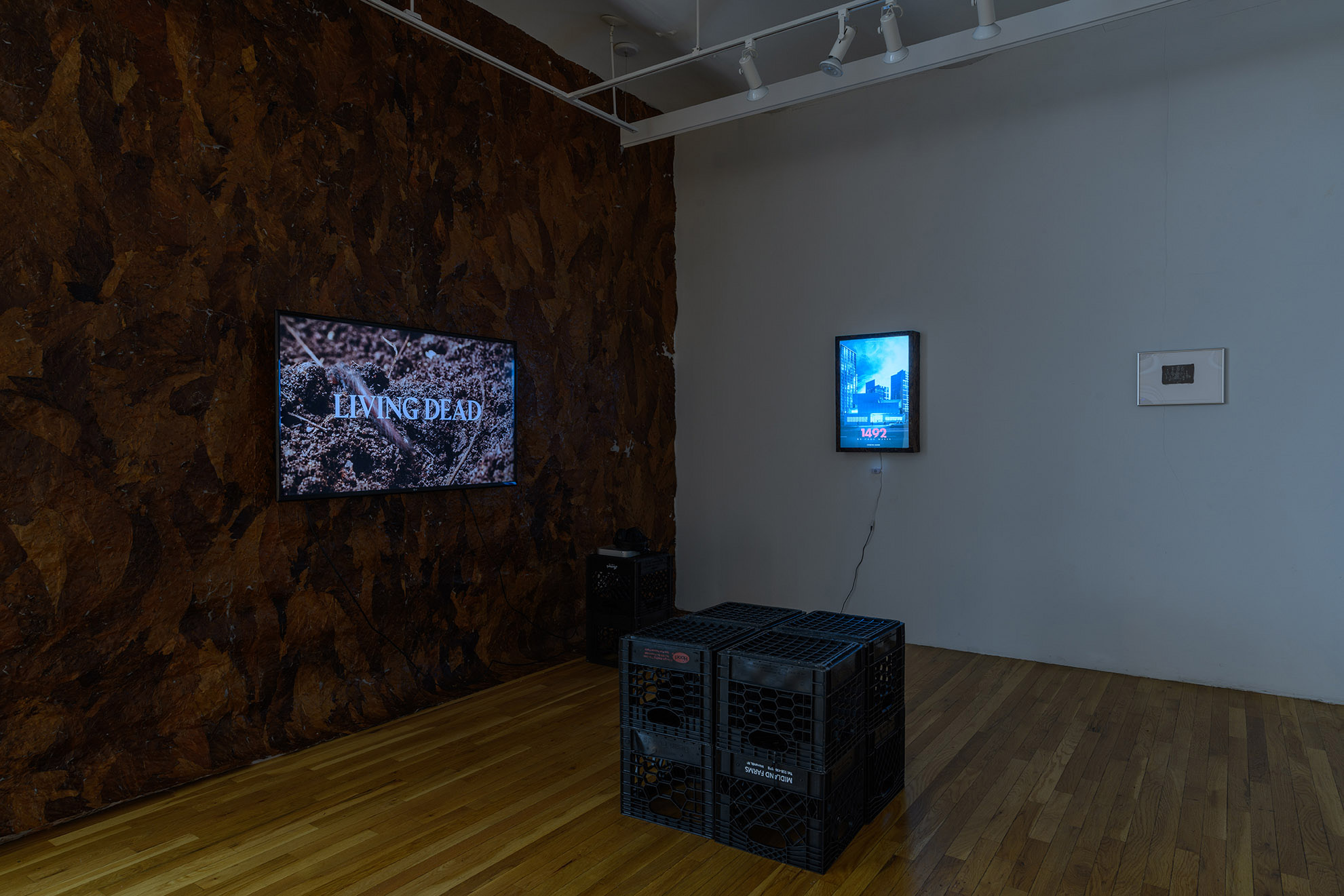 [An angled view of two adjoining walls forming a corner in the gallery. The wall to the left is covered in dried tobacco leaves and has a rectangular TV monitor hung in the center of it. The words “Living dead” in white capital letters read across the monitor’s screen on top of what looks like video footage of loose soil and roots. The wall to the right is painted white and has a rectangular lightbox hanging vertically in the center of it. The lightbox has a blueish, grainy photographic image on it with the number “1492” overlaid in red font. On the gallery’s wooden floor, a sculpture made of 8 black milk crates, four on top of four provides a place to sit while experiencing the artworks.]