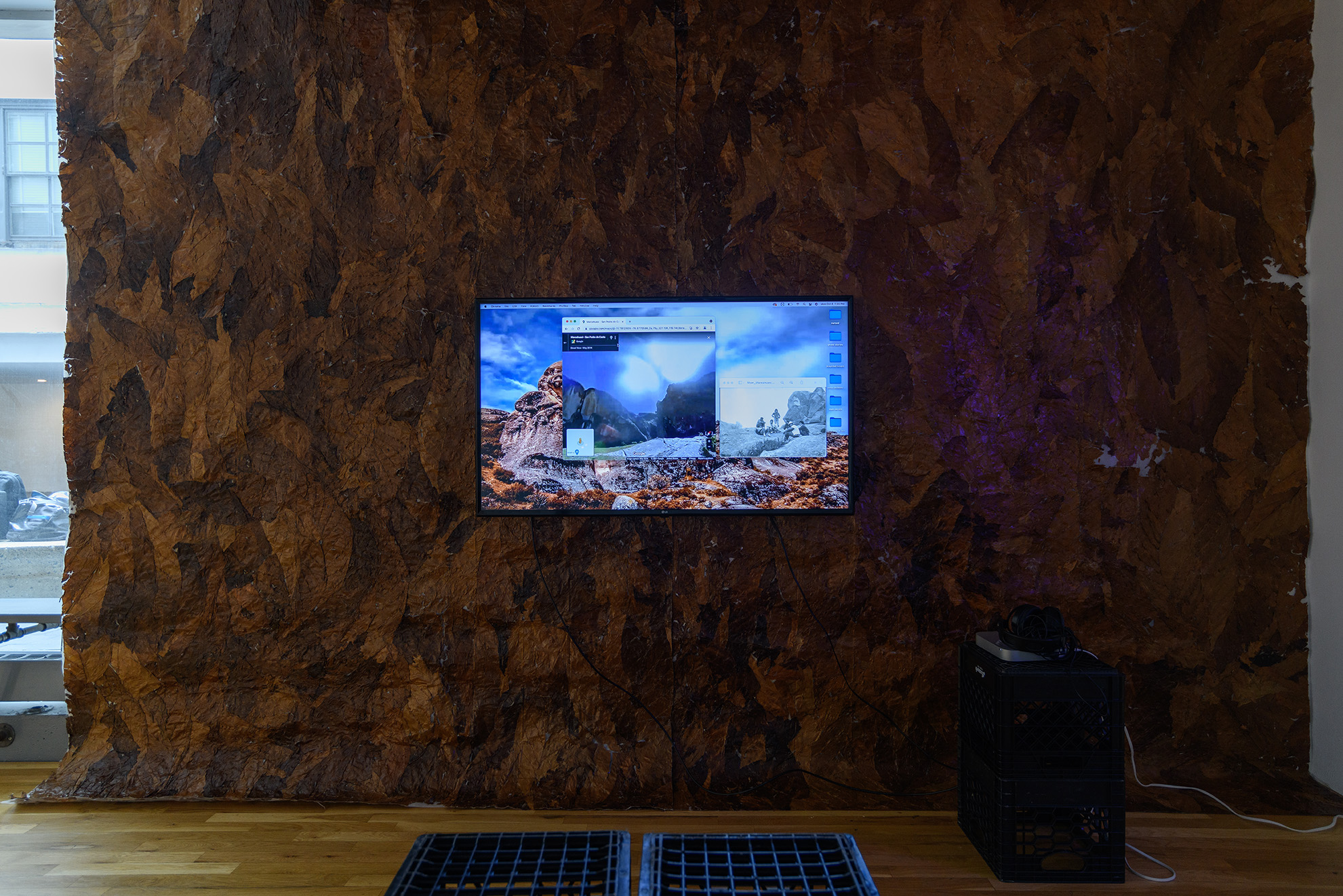 [A rectangular, flatscreen TV monitor hangs on top of a wall covered in dried, collaged tobacco leaves. The screen is predominantly blue. It depicts a desktop of a Mac computer screen. There are six blue folder icons stacked vertically on the right hand side of the screen. The center of the screen shows one larger internet browser window open to a “live view” on GoogleMaps and a smaller window to its right showing a black and white photograph of what looks like five people sitting and standing on a large rock formation. The photo looks decades older than the image from GoogleMaps.]
