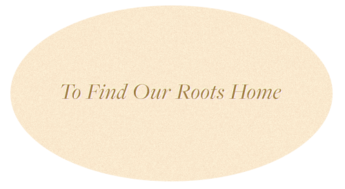 to find our roots home clicky